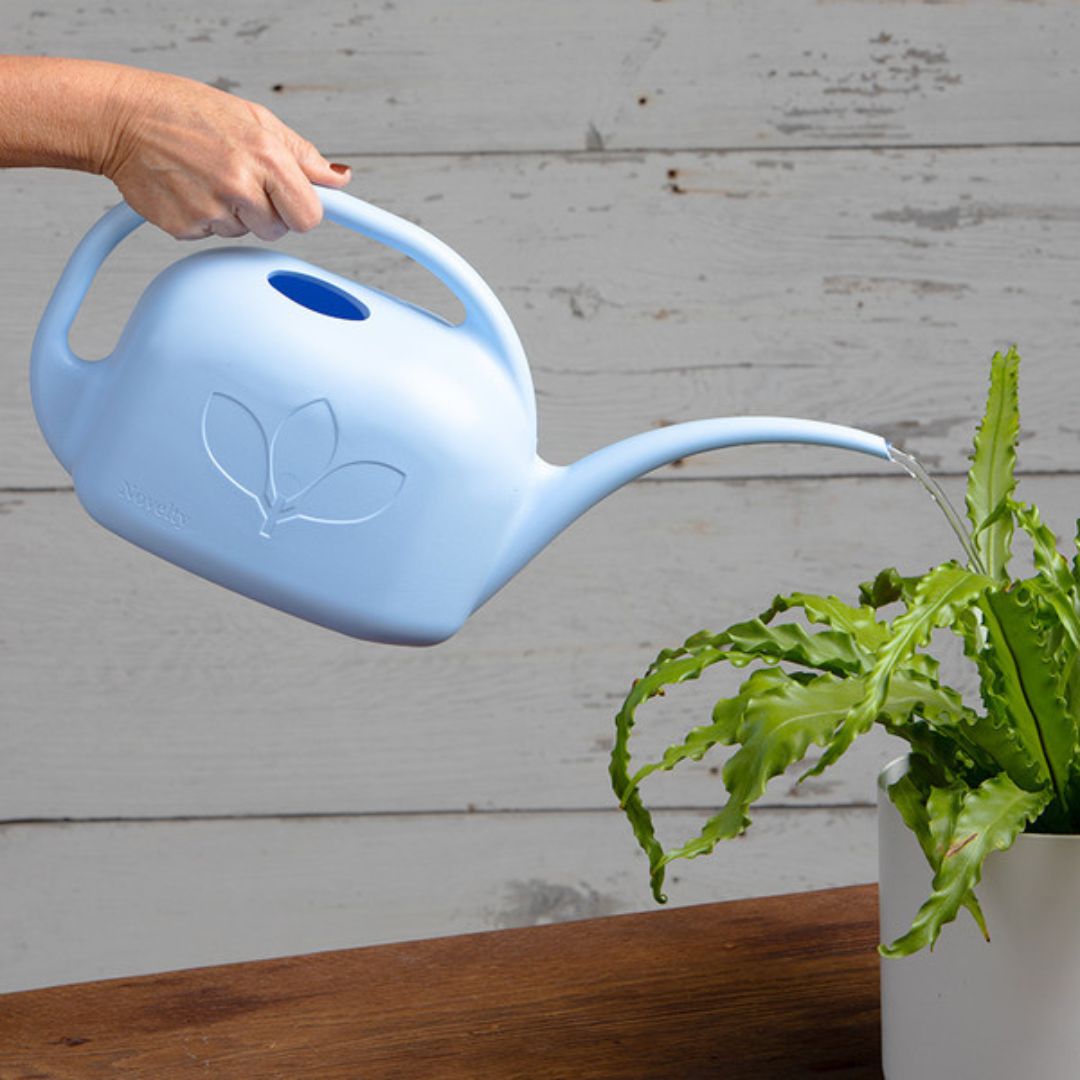 Indoor Watering Can – Sky Blue – 1 gal